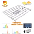 High yield 1000w led grow light full spectrum