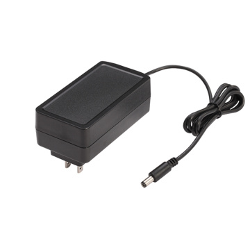 Adaptador de corriente de montaje en pared de 24V 1A