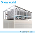 Snow world 3T Plate Ice Plant For Drinking