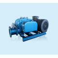 High air capacity effluent  roots blower