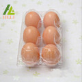 Clamshell 6 Zellen Kunststoff Huhn Eier Tablett