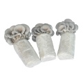 oyster mushroom spawn for oyster mushroom cultivation