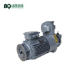 9KW Slewing Motor for Tower Crane 8~12t