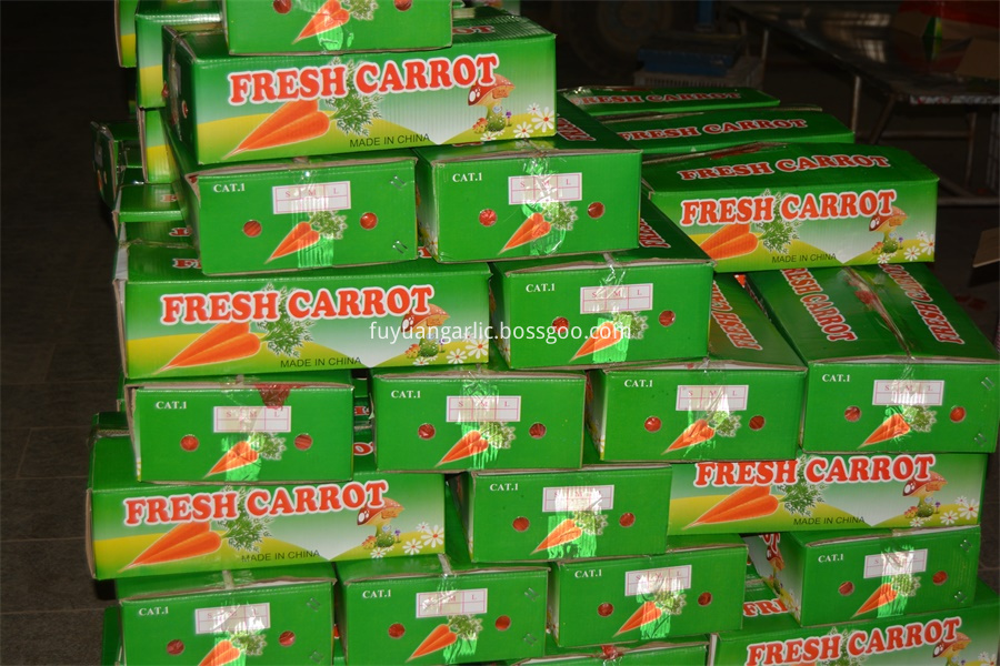 Fresh Farm Carrot