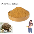 100% naturel poria cocos Extrait acheter en ligne