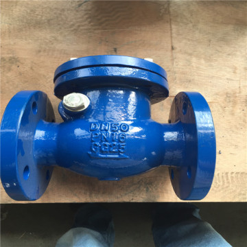 Swing Check Valve