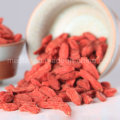 Mispel Goji Chinesische Bio Wolfberry