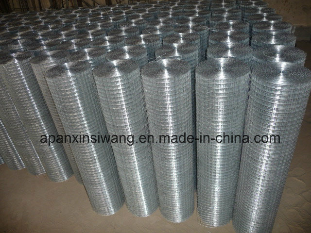 304 Grade Welded Wire Mesh