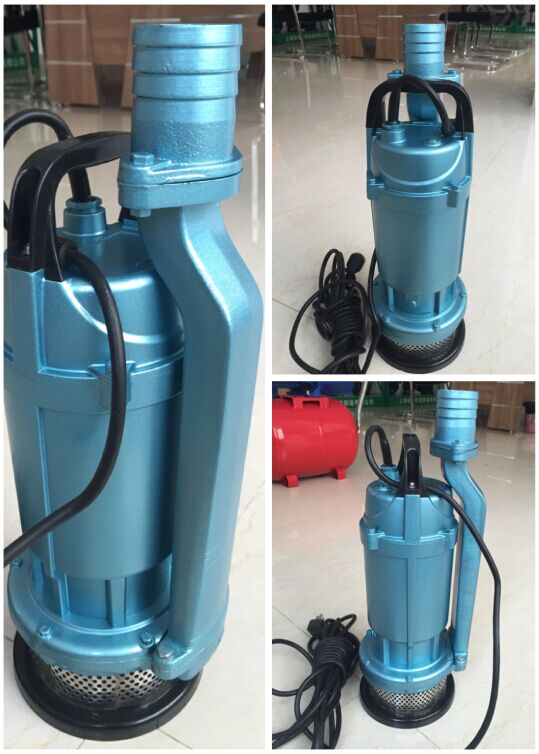 Iran Market Good Selling Submersible Pump (QDX10-16-0.75)