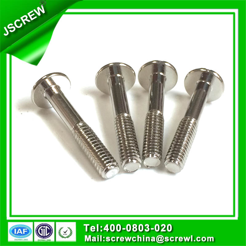 Customized Stainless Steel Truss Head Screw for Lighting