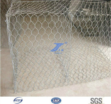 PVC Coated/Galvanized/Gabion Box Gabio/ Gabion Stone