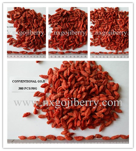 Ningxia Goji Berry Supplier