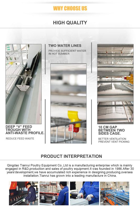 Hot Galvanized Steel Reinforcing Wire a Frame Chicken Layer Cage