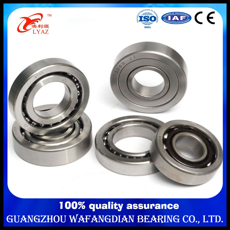 High Precious Self-Aligning Ball Bearing 1205 with Japan/Germany/USA OEM Brand Name