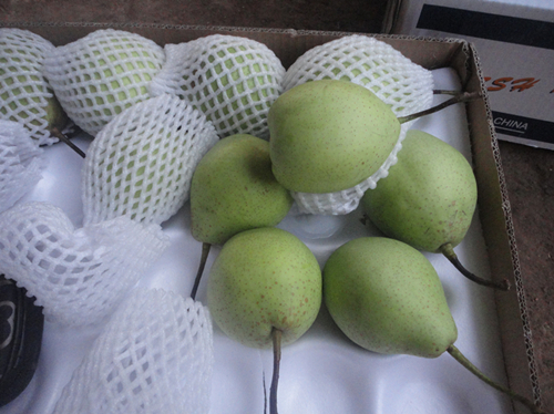 Fresh Chinese Ya Pear (36.40.44.48)