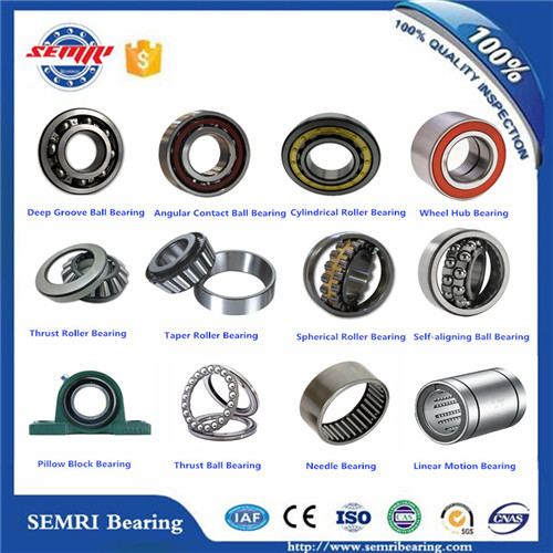 Different Kinds of Machinery Bearing (LB40A-2RS) Nylon Material Cage