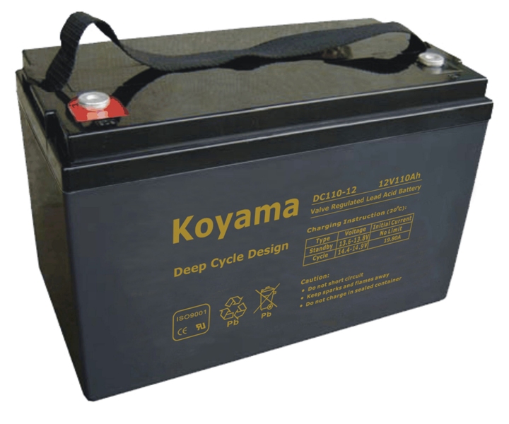 12V 110ah Deep Cycle AGM Battery for RV / Medical Mobility