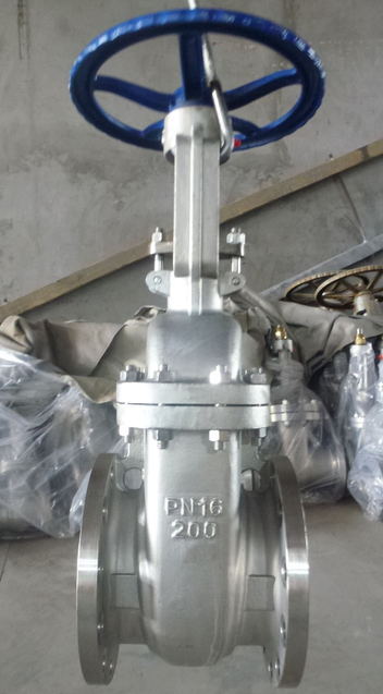 DIN Flanged Gate Valve with Stainless Steel