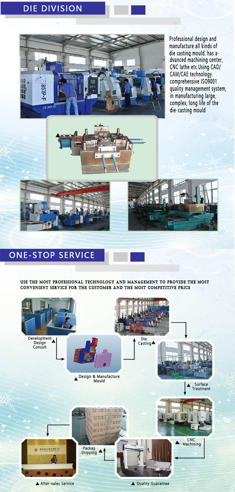 High Precision OEM Custom Pressure Die Casting (SYD0022)