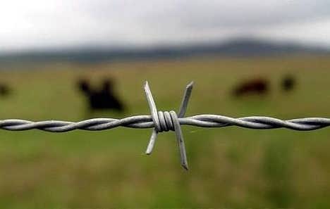 Factory Sales Barbed Wire for Farm Fence