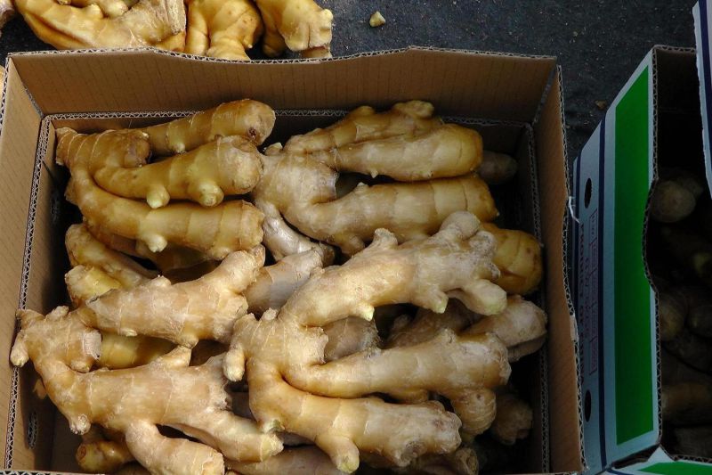 Good Quality Chinese Fresh Ginger