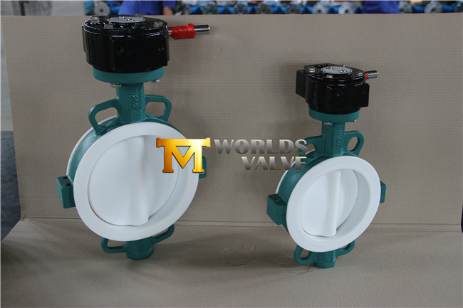 PTFE Coated Butterfly Valve Wafer Type with Ce ISO Certificates (CBF02-TA04)