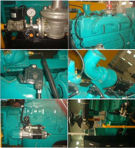 Cummins Natural Gas Generator Set (14-1350KVA)