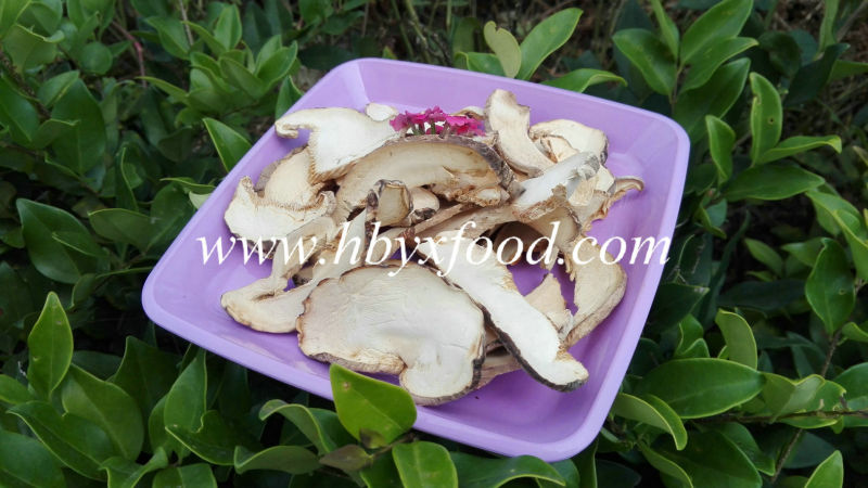 Dried Sliced Porcino, Boletus Edulis, Penny Bun Mushroom