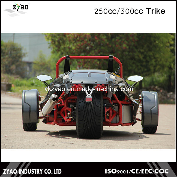 3 Wheel Car for Sale Drift Trike Japan Trike Motorcycle Ztr 250cc EEC