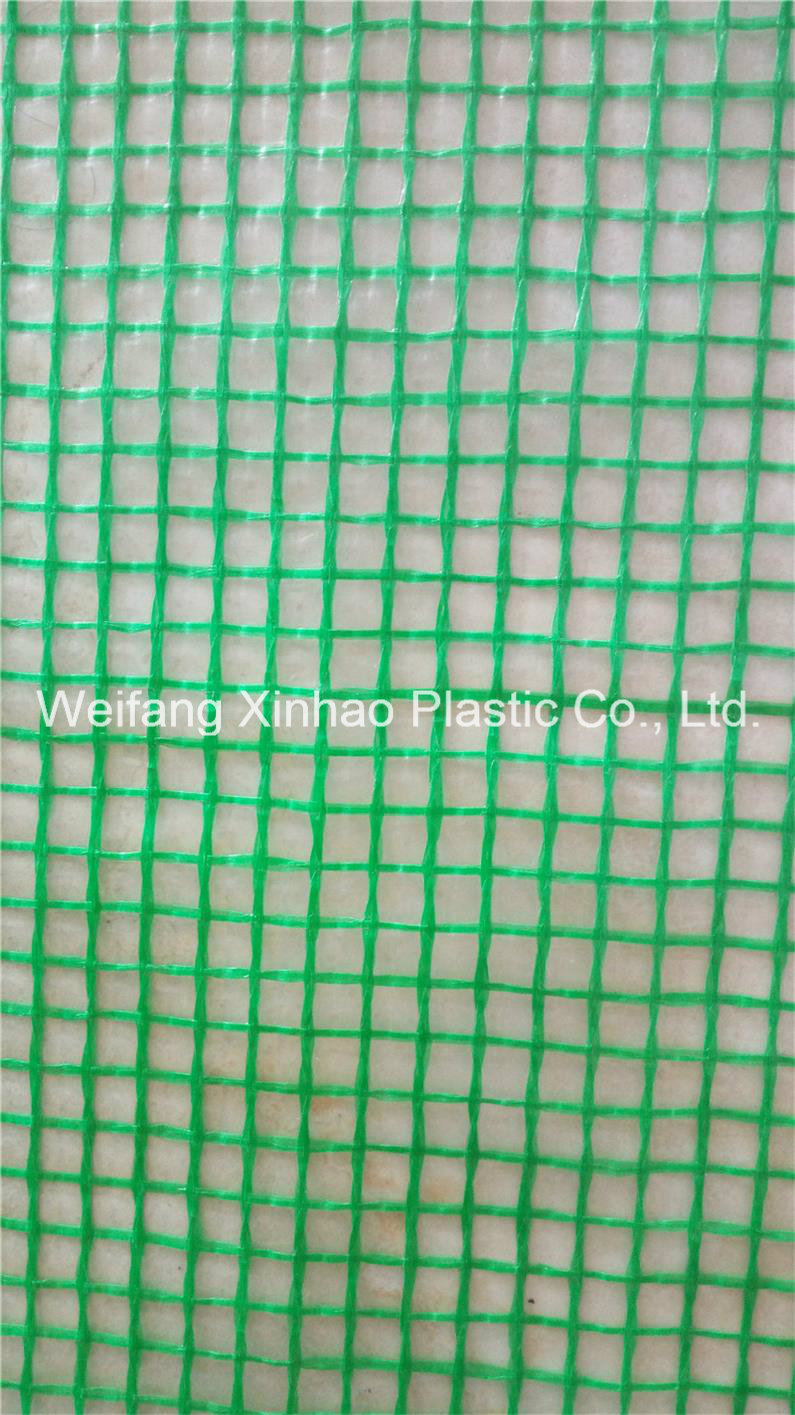 PE Scaffolding Leno Tarpaulin, Coated Mesh Fabric