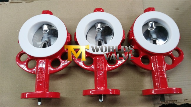 Wafer Butterfly Valve with Di Body CF8m Polished Disc PTFE Seat Free Shaft