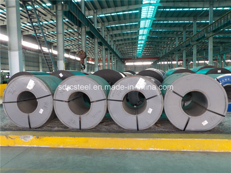 The Steel Coils with Competitive Price