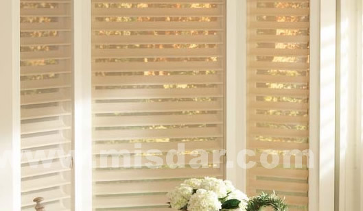 Window Blind Electric Double Roller Blinds