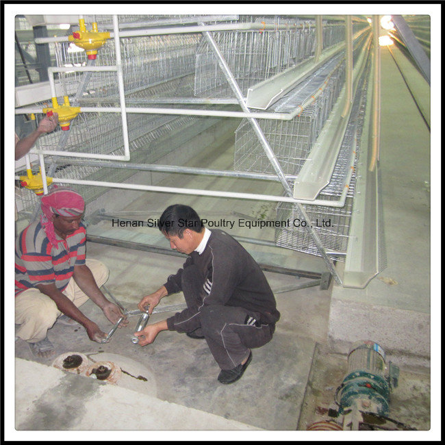 Automatic Galvanization Broiler Chicken Cage (H Type)