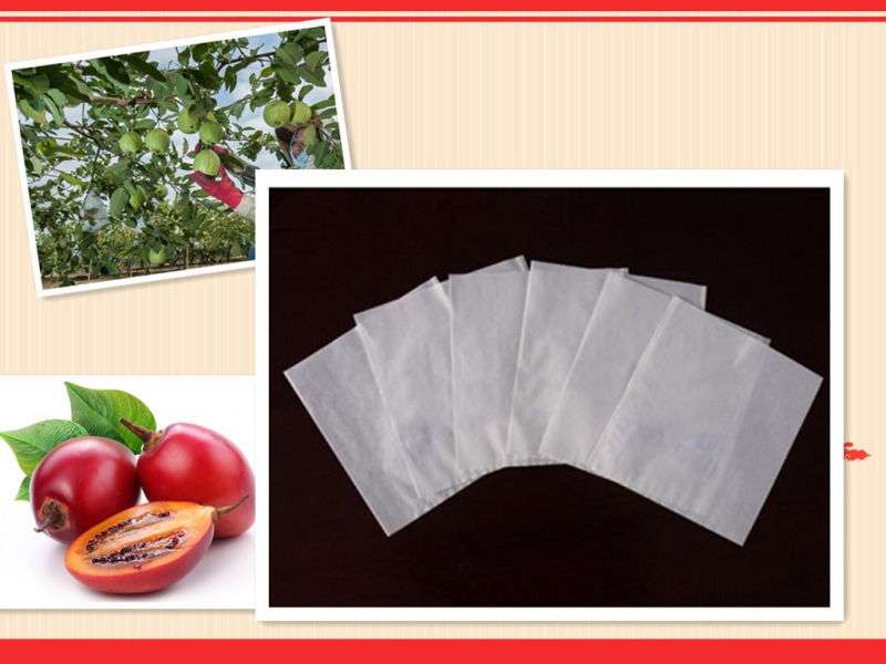 Breathable High Grade Composite Paper Mango Protection Bags to Decrease The Damages Cause by Rain, Strong Wind and Falling of Fruit