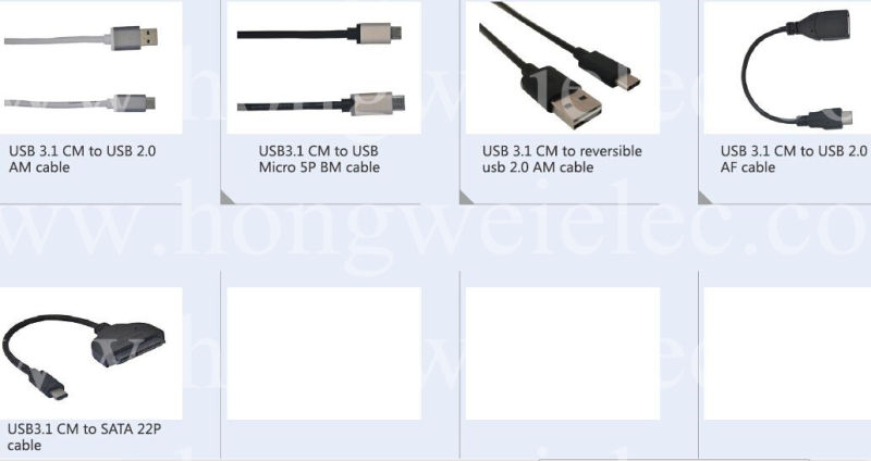 USB 3.1 C to Type C Cable