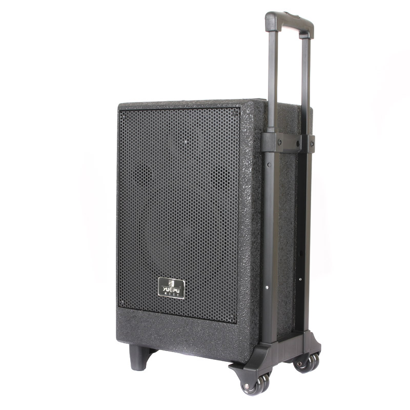 Portable PA Speaker with SD, USB and Two Wireless Mics