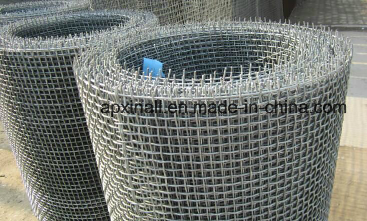 Galvanized Steel Crimped Wire Mesh (XA-CWM05)