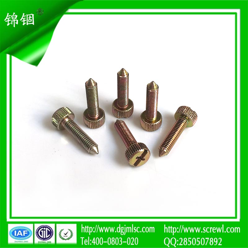 M5 Color Zinc Plating Cheese Head Screw for Installation