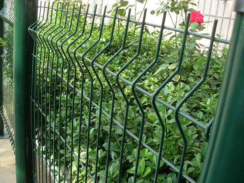 The Galvanized Welded Wire Mesh Garden Fence (Anjia-052)