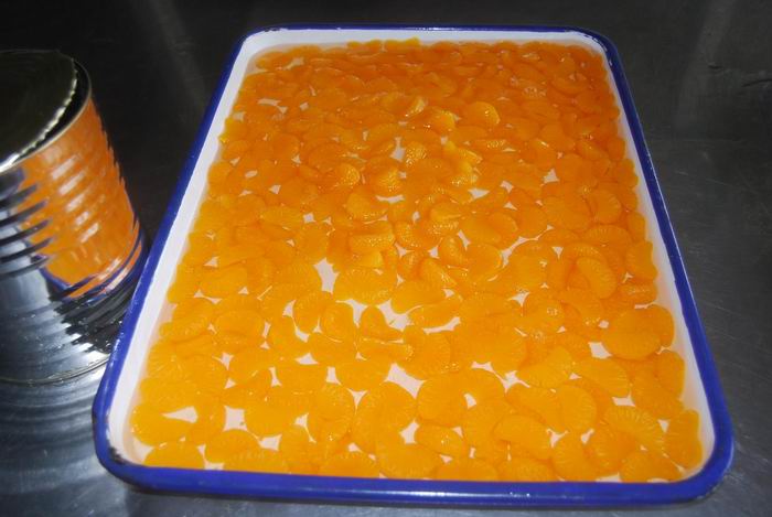 Canned Orange with Best Price