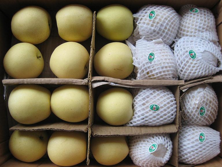 Top Quality Fresh Golden Pear/Crown Pear