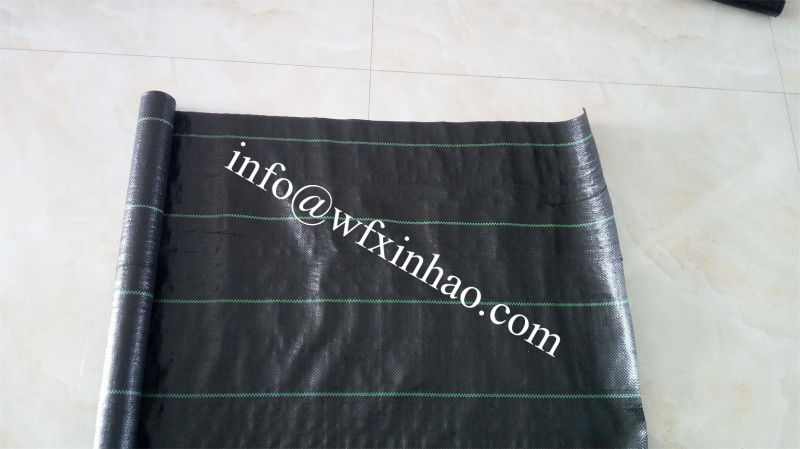 PP Woven Weedmat with 70-180GSM From Factory