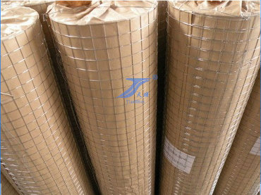 Galvanized Welded Wire Mesh (TS-L12)