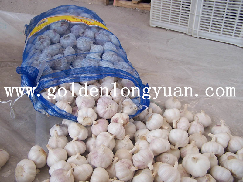 Normal White Garlic Packed with 3p in 10kg Mesh Bag