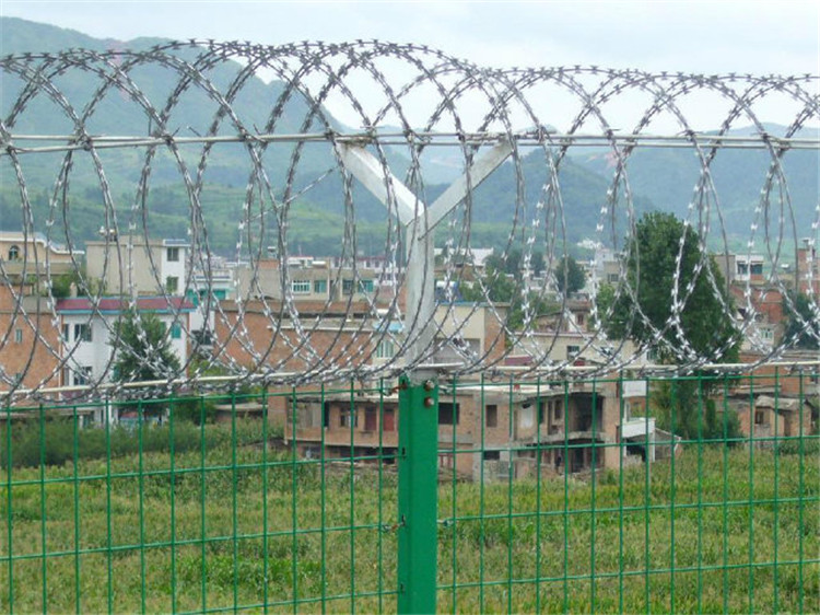 Razor Barbed Wire Hot-Dipped/Electric Galvanized