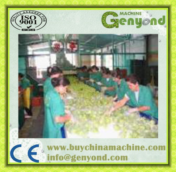 Orange Apple Fruit Juice Production Line