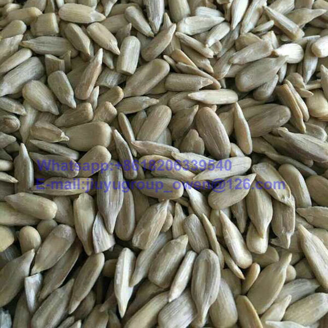 Health Food Sunflower Seeds Kernel