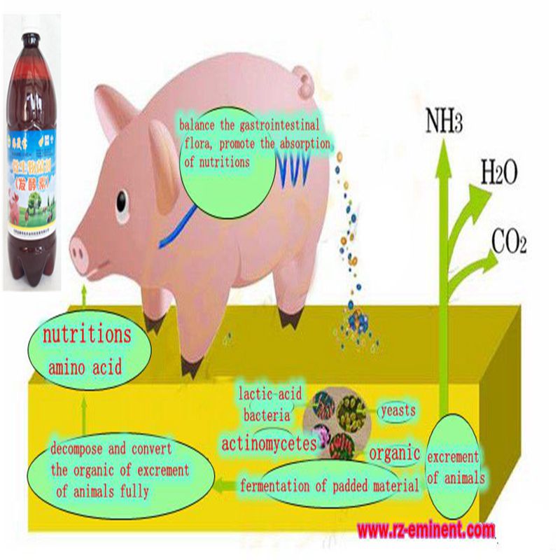 Seaweed Microbial Organic Decomposing Inoculant for Animal Husbandry Fermenting Bed