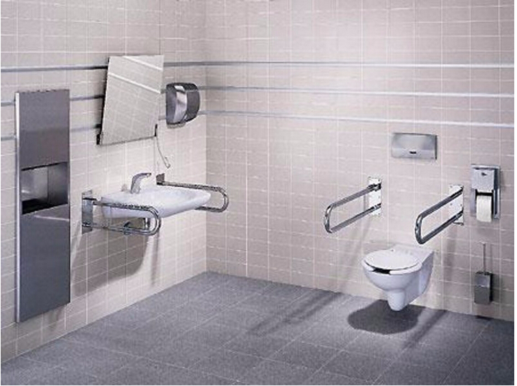 Anti-Corrosion Stainless Steel Grab Bar for Disabled